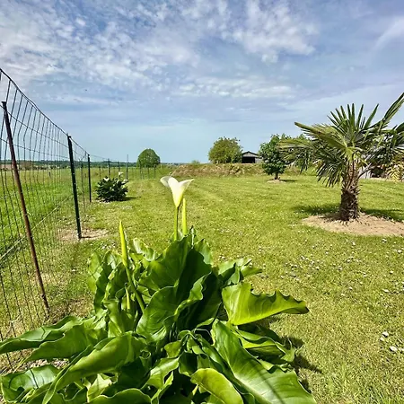Des Hirondelles 1 Tatil Evi Montjoie-Saint-Martin