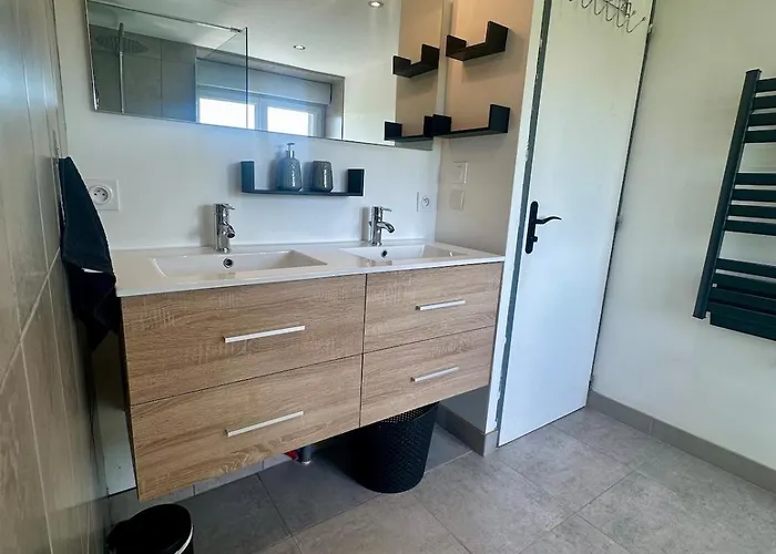 Des Hirondelles 1 Montjoie-Saint-Martin