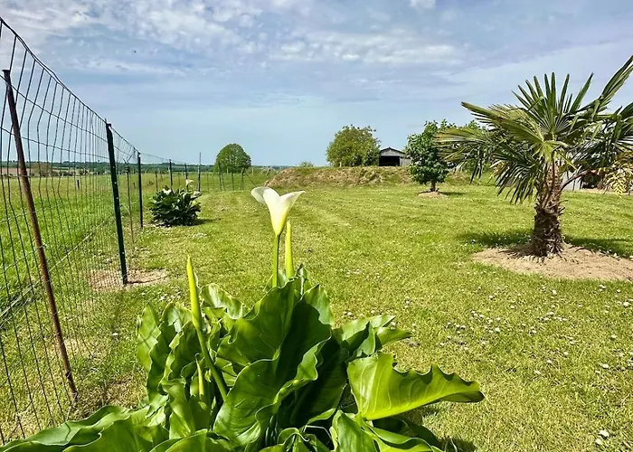Des Hirondelles 1 Vakantiehuis Montjoie-Saint-Martin