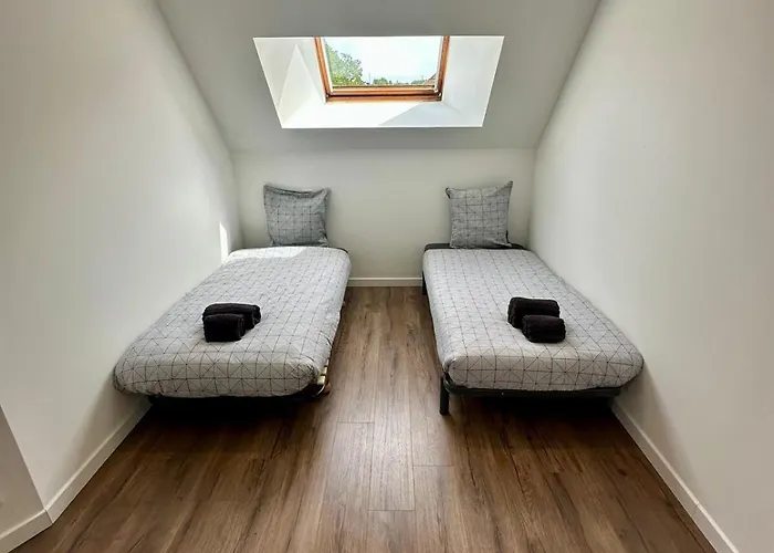 Des Hirondelles 1 Montjoie-Saint-Martin